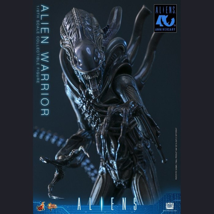 Hot Toys - Xenomorph Warrior - Aliens (40th Anniversary) 
