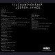 ResetStudio - LeBron James - Championship Knight LeBron James 10th Anniversary Edition