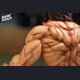 SP Studio (SuperPunch Studio) - Baki Hanma - Baki