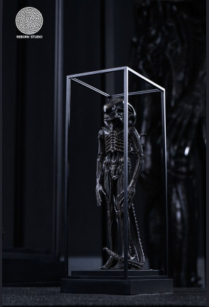 Reborn Studio - 1/8 Alien
