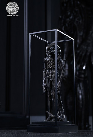 Reborn Studio - 1/8 Alien