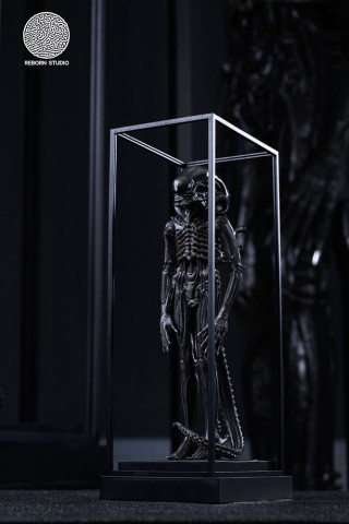 Reborn Studio - 1/8 Alien