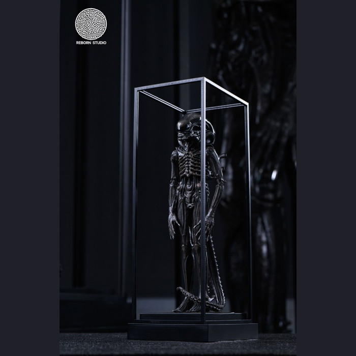 Reborn Studio - 1/8 Alien