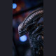 Reborn Studio - 1/8 Alien