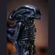 Reborn Studio - 1/8 Alien