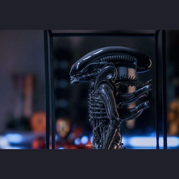 Reborn Studio - 1/8 Alien