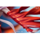 Manta Studio - Inori Yuzuriha - Guilty Crown