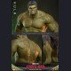 Hot Toys (HT) - Hulk - Spider‑Man: Fresh Start