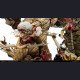 K13 Studio - Armored Titan - Attack on Titan