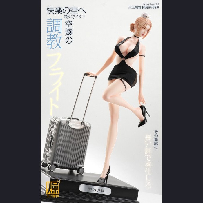 Tiangong Zaowu - Flight Attendant 2.0 - Tiangong Zaowu 2.0 Series