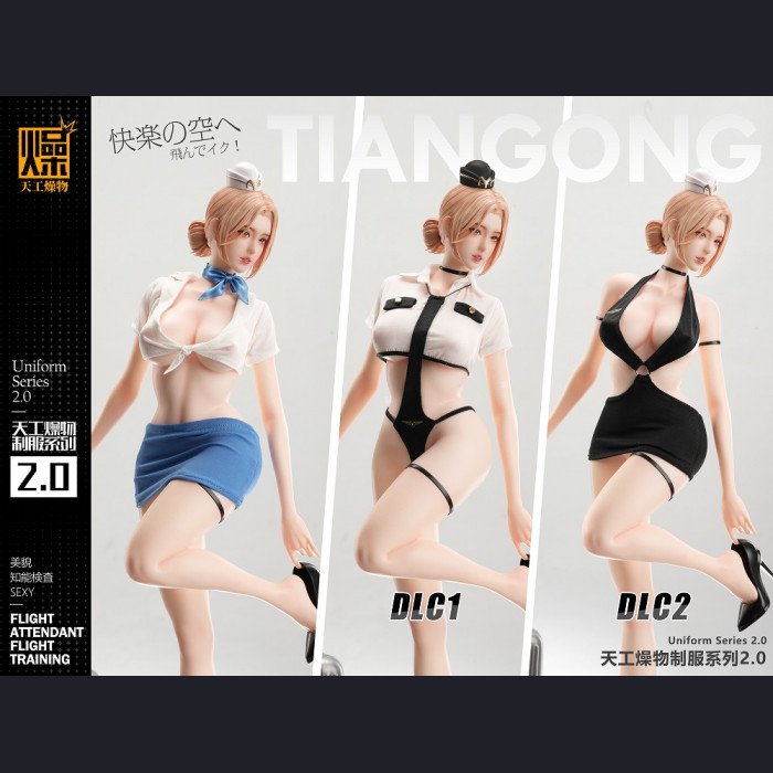 Tiangong Zaowu - Flight Attendant 2.0 - Tiangong Zaowu 2.0 Series