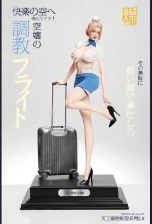 Tiangong Zaowu - Flight Attendant 2.0 - Tiangong Zaowu 2.0 Series