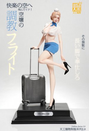 Tiangong Zaowu - Flight Attendant 2.0 - Tiangong Zaowu 2.0 Series