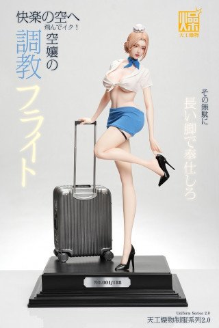 Tiangong Zaowu - Flight Attendant 2.0 - Tiangong Zaowu 2.0 Series