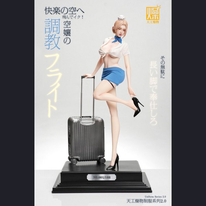 Tiangong Zaowu - Flight Attendant 2.0 - Tiangong Zaowu 2.0 Series
