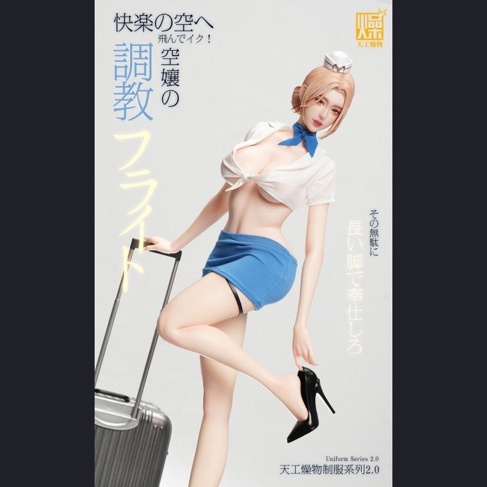 Tiangong Zaowu - Flight Attendant 2.0 - Tiangong Zaowu 2.0 Series