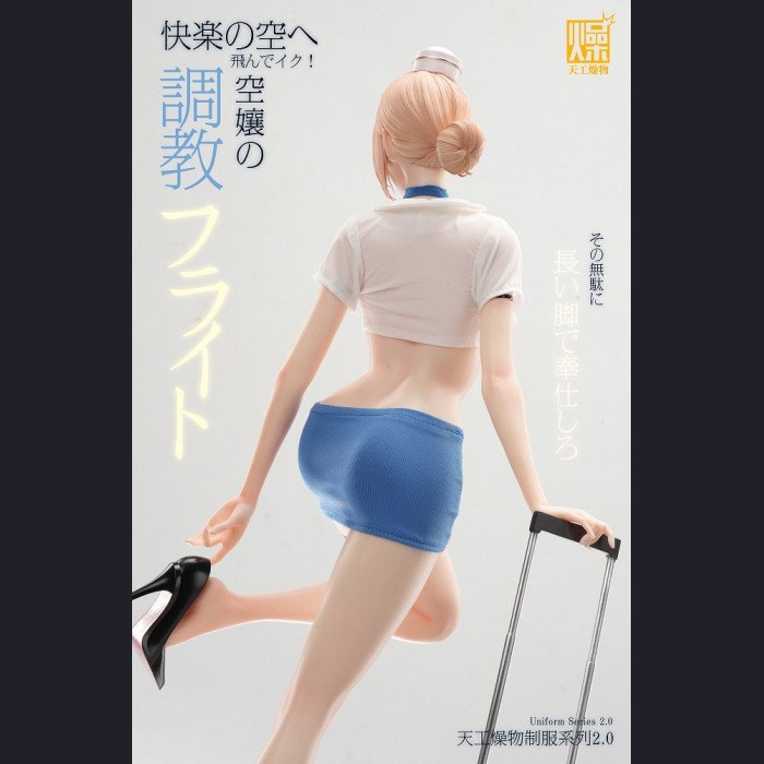 Tiangong Zaowu - Flight Attendant 2.0 - Tiangong Zaowu 2.0 Series