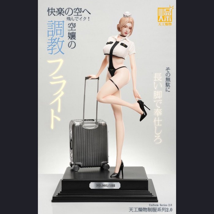 Tiangong Zaowu - Flight Attendant 2.0 - Tiangong Zaowu 2.0 Series