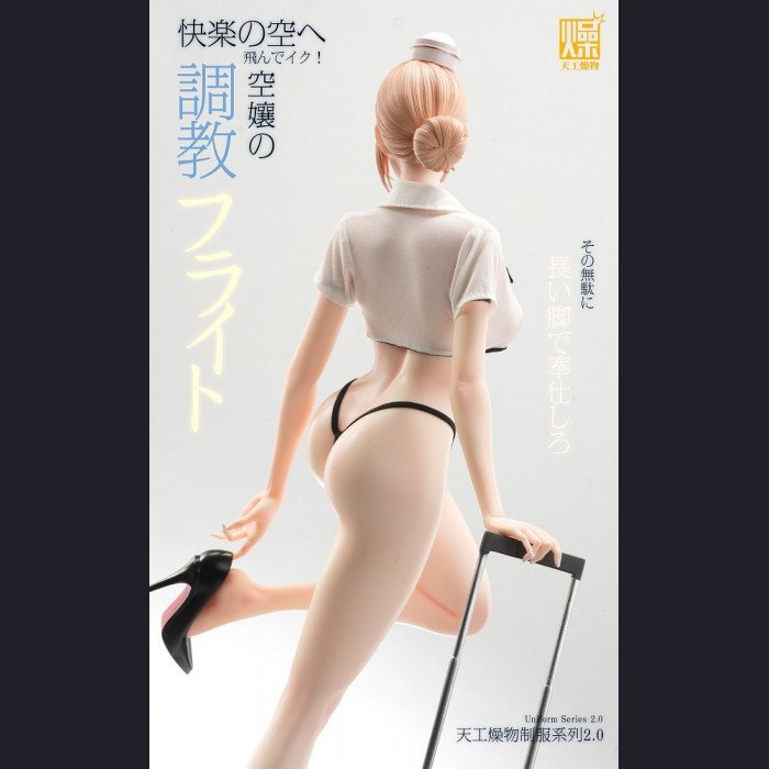 Tiangong Zaowu - Flight Attendant 2.0 - Tiangong Zaowu 2.0 Series