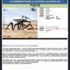 HIYA - Warrior Bug - Starship Troopers