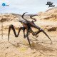 HIYA - Warrior Bug - Starship Troopers