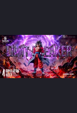 Plastic Soul Studio - Super Saiyan 4 Xeno Vegito - Dragon Ball Heroes