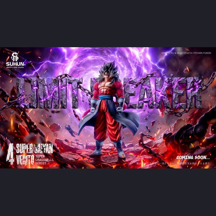 Plastic Soul Studio - Super Saiyan 4 Xeno Vegito - Dragon Ball Heroes