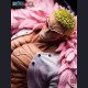 Jimei Palace - Donquixote Doflamingo - One Piece