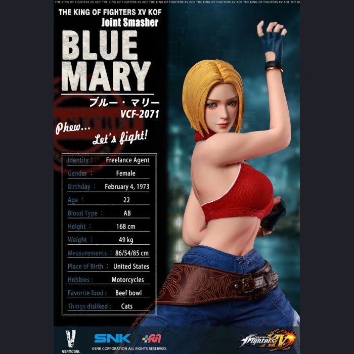 VERYCOOL - Blue Mary - The King of Fighters XIV