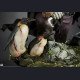 Sideshow - The Penguin(Oswald Cobblepot) - DC Comics