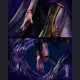 HAOZI Studio - Xal'atath - World of Warcraft