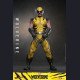 Hot Toys - Wolverine(Regular Version) - Marvel's Wolverine