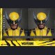 Hot Toys - Wolverine(Deluxe Version) - Marvel's Wolverine