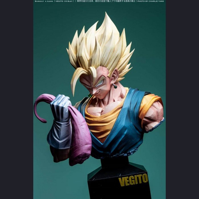 Burnout × Juann - Vegetto - Dragon Ball