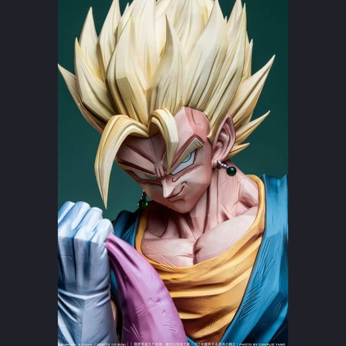 Burnout × Juann - Vegetto - Dragon Ball