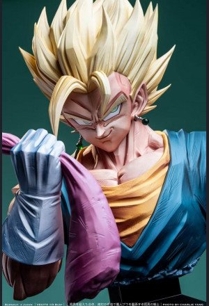 Burnout × Juann - Vegetto - Dragon Ball