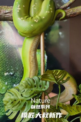Mojiang Uncle Studio - Green Tree Python - Nature Series Vol.1 Green Tree Python
