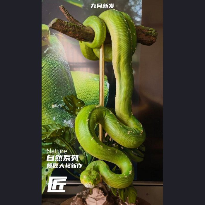 Mojiang Uncle Studio - Green Tree Python - Nature Series Vol.1 Green Tree Python