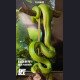Mojiang Uncle Studio - Green Tree Python - Nature Series Vol.1 Green Tree Python