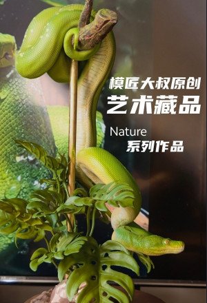 Mojiang Uncle Studio - Green Tree Python - Nature Series Vol.1 Green Tree Python