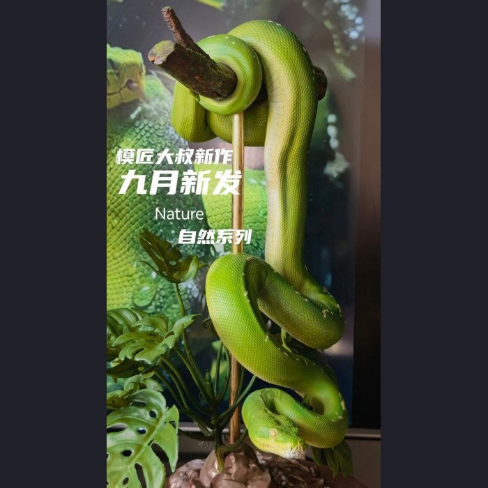 Mojiang Uncle Studio - Green Tree Python - Nature Series Vol.1 Green Tree Python