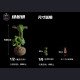Mojiang Uncle Studio - Green Tree Python - Nature Series Vol.1 Green Tree Python