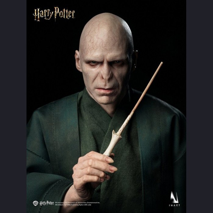 INART - Voldemort - Harry Potter and the Deathly Hallows