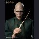 INART - Voldemort - Harry Potter and the Deathly Hallows