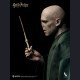 INART - Voldemort - Harry Potter and the Deathly Hallows