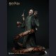 INART - Voldemort - Harry Potter and the Deathly Hallows