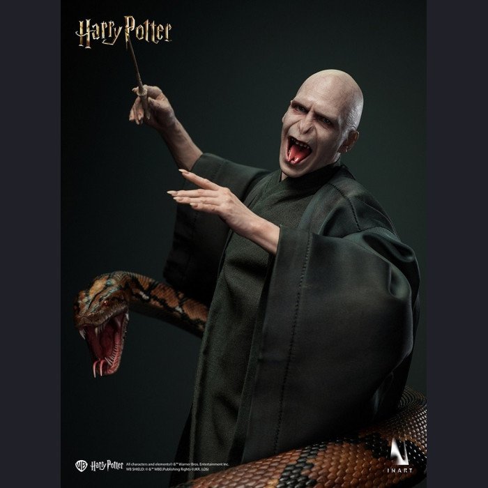 INART - Voldemort - Harry Potter and the Deathly Hallows