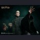 INART - Voldemort - Harry Potter and the Deathly Hallows