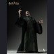 INART - Voldemort - Harry Potter and the Deathly Hallows