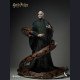 INART - Voldemort - Harry Potter and the Deathly Hallows